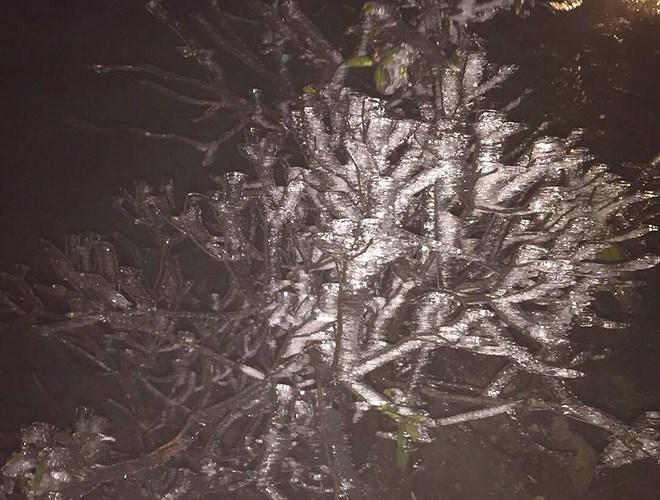 Đỉnh Fansipan đẹp ngỡ ngàng giữa trời tuyết trắng-6