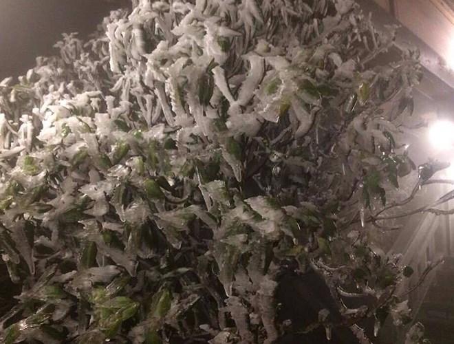 Đỉnh Fansipan đẹp ngỡ ngàng giữa trời tuyết trắng-12