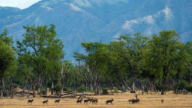 Lonely Planet xếp hạng 5 quốc gia đáng đến thăm nhất năm 2019-3