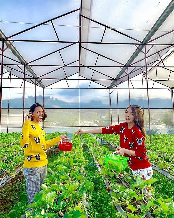 Vướng nghi án yêu đương đồng tính, Kỳ Duyên - Minh Triệu chiếm trọn sóng truyền thông ngày cuối năm-1