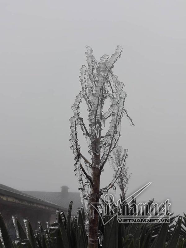 Mẫu Sơn âm 0,5 độ C, băng tuyết phủ kín ô tô-6