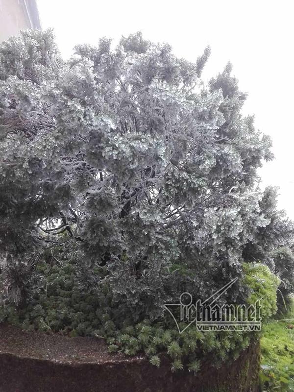 Mẫu Sơn âm 0,5 độ C, băng tuyết phủ kín ô tô-8