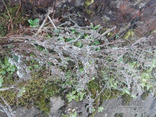 Mẫu Sơn âm 0,5 độ C, băng tuyết phủ kín ô tô-10