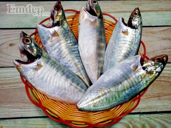 Thơm bùi cá sốt cà chua đơn giản mà ngon cơm-2