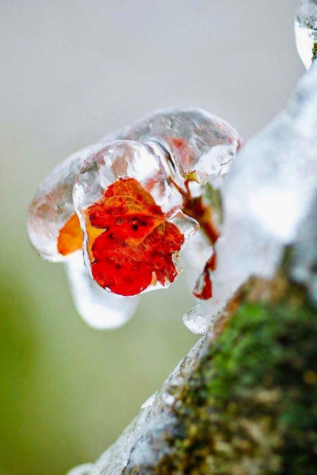 Giới trẻ không ngại giá rét check-in băng tuyết ở Mẫu Sơn-3