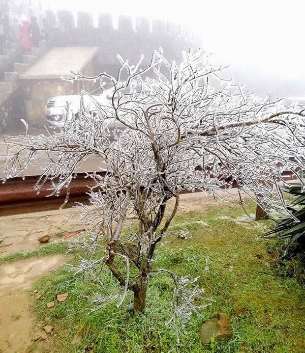 Giới trẻ không ngại giá rét check-in băng tuyết ở Mẫu Sơn-6