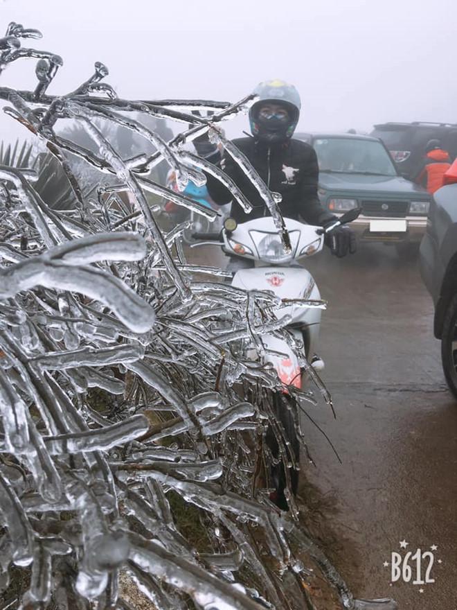 Giới trẻ không ngại giá rét check-in băng tuyết ở Mẫu Sơn-8