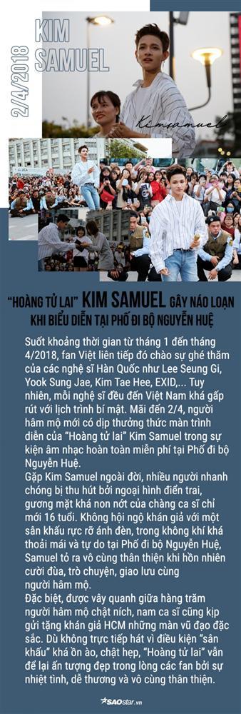 Loạt sao Kpop tỏa sáng trên sân khấu Việt Nam suốt năm qua: Idol nhà ai đỉnh nhất? (P.1)-3