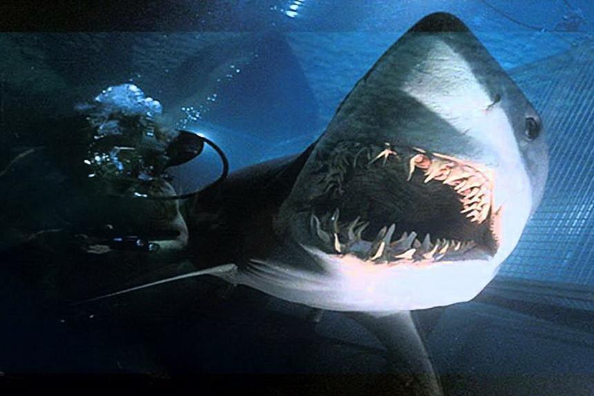 Những bộ phim nổi tiếng tròn 20 tuổi trong năm 2019-9