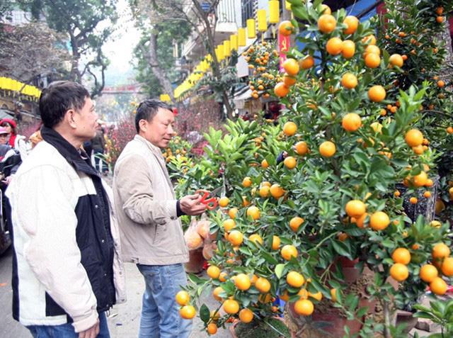 Gộp Tết tây và Tết ta: 12 năm qua, vị giáo sư vẫn bảo lưu quan điểm-3