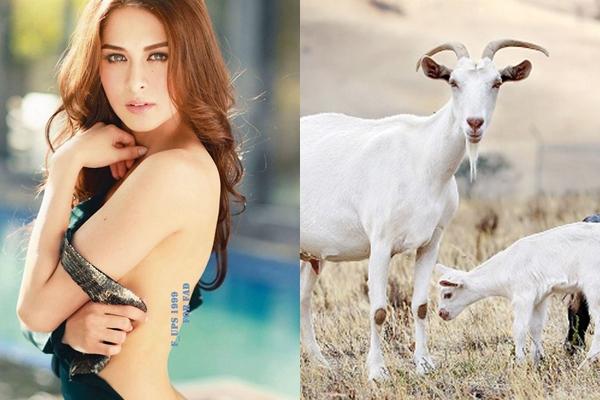 4 con giáp được THẦN TÀI chiếu mệnh, TIỀN BẠC dồi dào tha hồ tiêu Tết trong tháng 1/2019-4