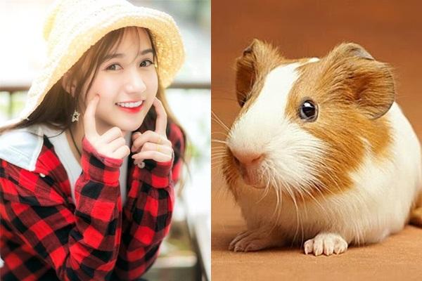 3 con giáp được cát tinh soi chiếu, ĐẮM TRONG BIỂN TIỀN, vận thế vụt sáng nhất trong năm Kỷ Hợi-3