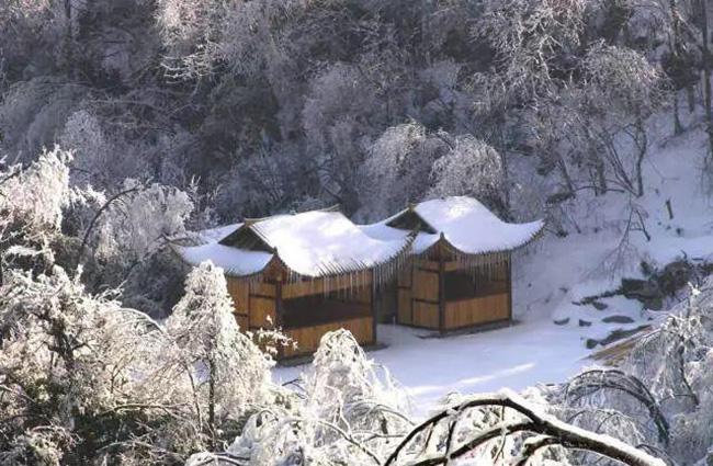 Du khách phấn khích trước cảnh tượng băng tuyết phủ trắng Trương Gia Giới-3