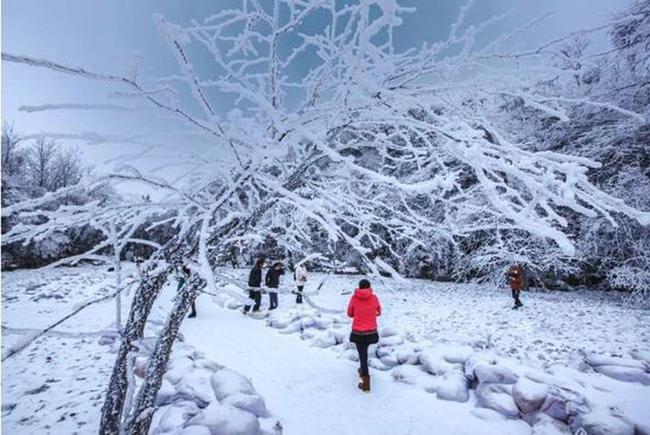 Du khách phấn khích trước cảnh tượng băng tuyết phủ trắng Trương Gia Giới-8