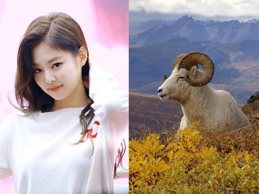 3 con giáp GIÀU SANG NGÚT TRỜI, tiền bạc rủng rỉnh, TÀI LỘC PHẤT MẠNH nhất trong 12 con giáp