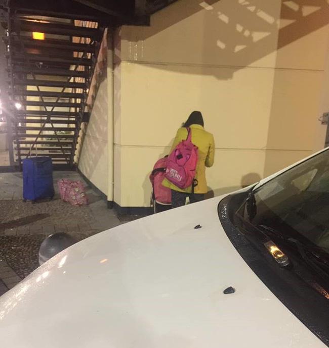 Hội bỉm sữa lo lắng cho số phận Peter khi em lại bị Bella tha lôi ngoài đường ngày lạnh-1