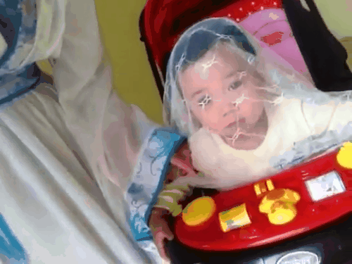 Hội bỉm sữa lo lắng cho số phận Peter khi em lại bị Bella tha lôi ngoài đường ngày lạnh-2