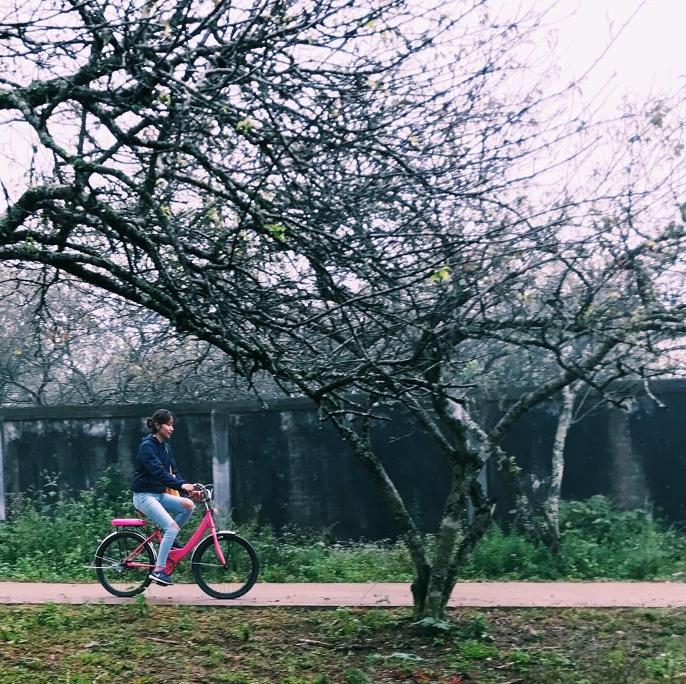 Clip: Xem các chàng trai Mông thổi khèn, nhiều thiếu nữ quên lối về-3