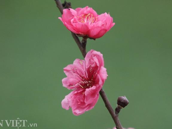 Vẻ đẹp độc nhất vô nhị của chùa Trắng ở Thái Lan-1