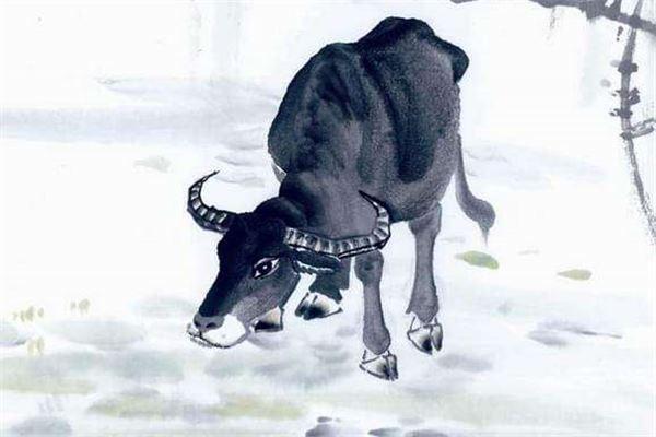 Những con giáp song hỷ lâm môn ngay trong tháng đầu tiên của năm mới-4