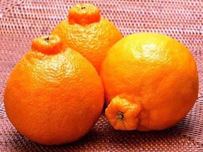 Mâm ngũ quả chưng Tết tiền tỷ của nhà giàu Việt-4