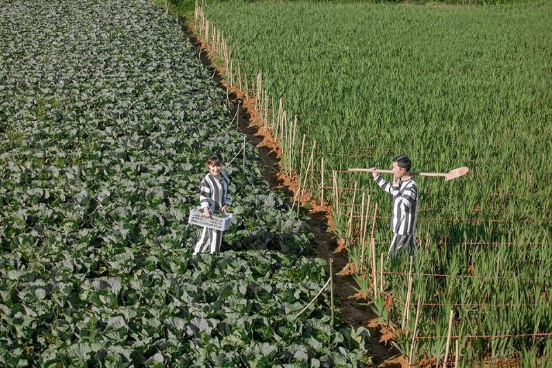 Dân mạng tranh cãi gay gắt về cặp đôi Sài Gòn mặc áo tù chụp ảnh cưới, đặt tên album là Tù chung thân-1