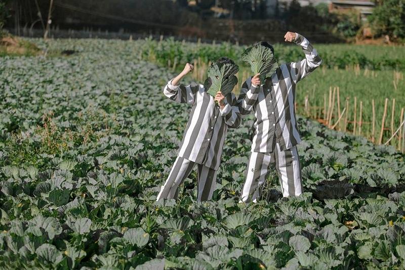 Dân mạng tranh cãi gay gắt về cặp đôi Sài Gòn mặc áo tù chụp ảnh cưới, đặt tên album là Tù chung thân-3