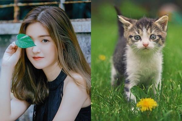 Bộ 3 con giáp được ghi danh trong sổ vàng của Thần Tài, TIỀN TÀI ĐẮP ĐỐNG, vận đỏ như son trong năm 2019-1