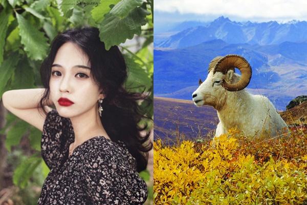 Bộ 3 con giáp được ghi danh trong sổ vàng của Thần Tài, TIỀN TÀI ĐẮP ĐỐNG, vận đỏ như son trong năm 2019-3