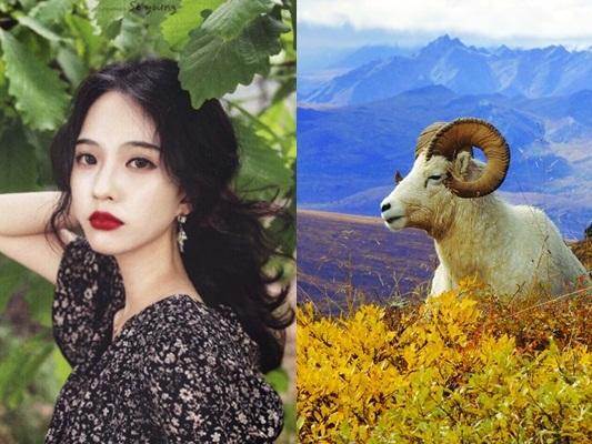 3 con giáp may mắn bủa vây, ĐẾM TIỀN SÁI TAY, giàu sang nức tiếng trong 2 tháng đầu năm 2019-4