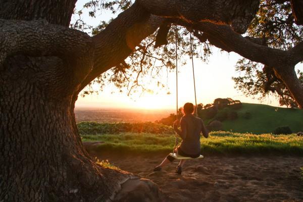 Tử vi tuổi Sửu năm 2019: Nửa năm đầu gian nan nhưng tự lực cánh sinh rồi cuối năm viên mãn-1