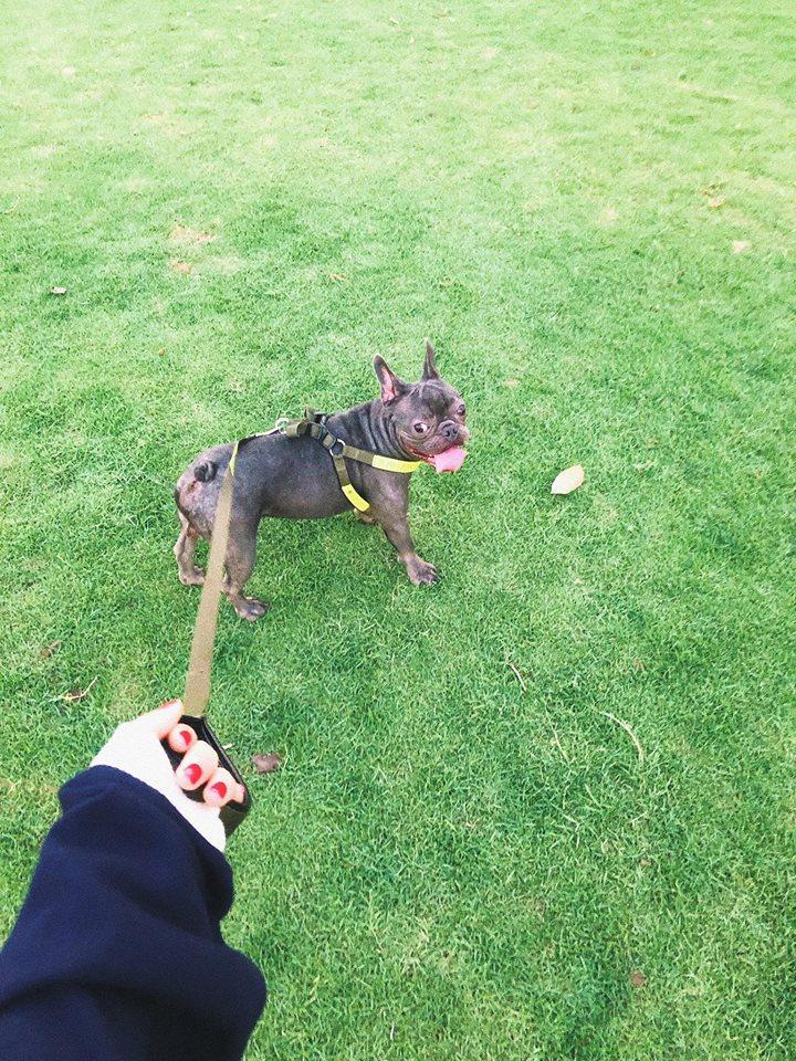 Hòa Minzy bị ném đá phải khóa mạng xã hội, người yêu đại gia an ủi rất thương cảm-7