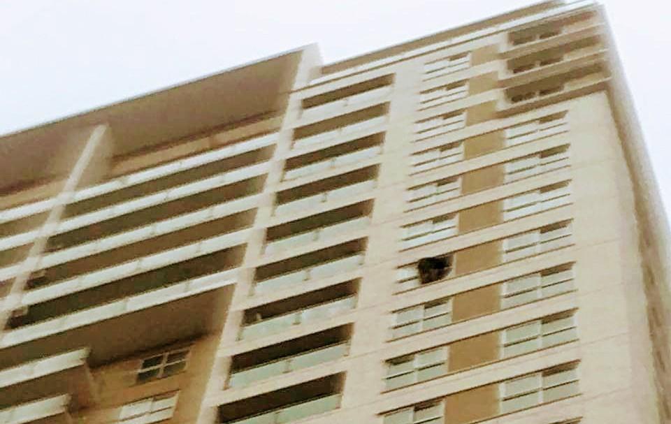 Bóp cổ người tình đến chết, định nhảy lầu tự tử-2