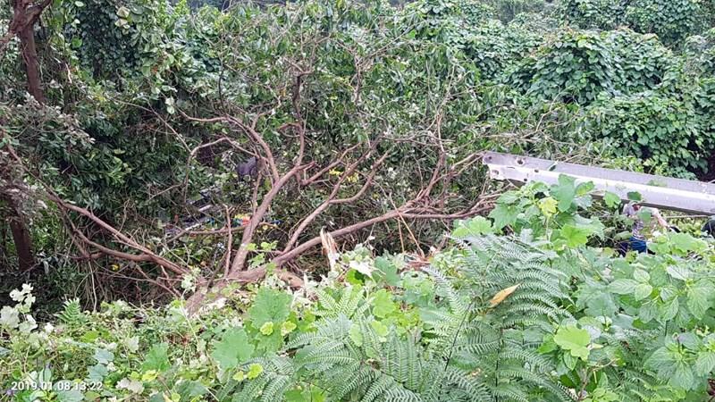 Xe khách rơi trên đèo Hải Vân, 21 sinh viên bị nạn-3