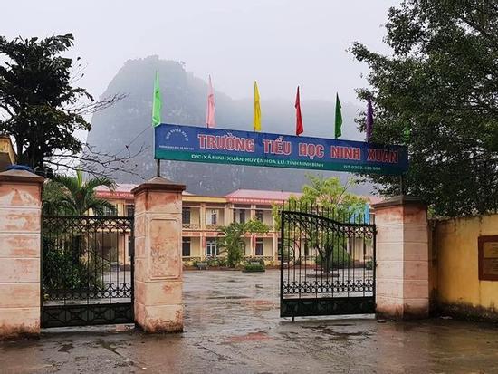 Ninh Bình: 12 học sinh tiểu học bị chó cắn trong sân trường