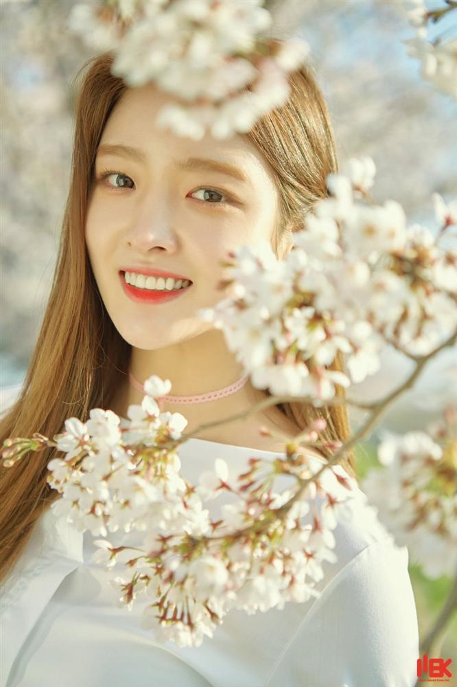 Tử vi thứ Tư ngày 9/1/2019 của 12 con giáp: Tỵ suy nghĩ vẩn vơ, Ngọ tiền bạc khởi sắc-1