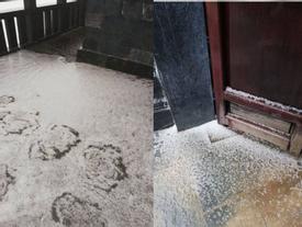 Chưa từng có: Mưa và tuyết cùng rơi phủ trắng Fansipan Chưa từng có: Mưa và tuyết cùng rơi phủ trắng Fansipan