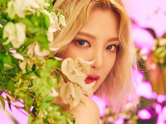 Tử vi thứ Năm ngày 10/1/2019 của 12 con giáp: Mùi tinh thần uể oải, Dậu tài lộc dồi dào