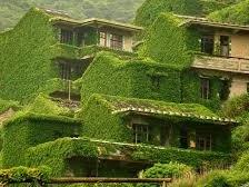 Đồi chocolate hình nón kỳ lạ ở Philippines-1