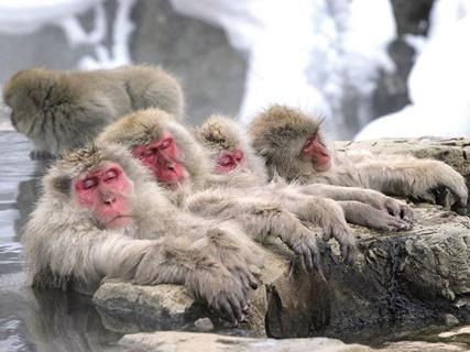 Suối nước nóng xanh ngọc được ví như spa tự nhiên ở Italy-1