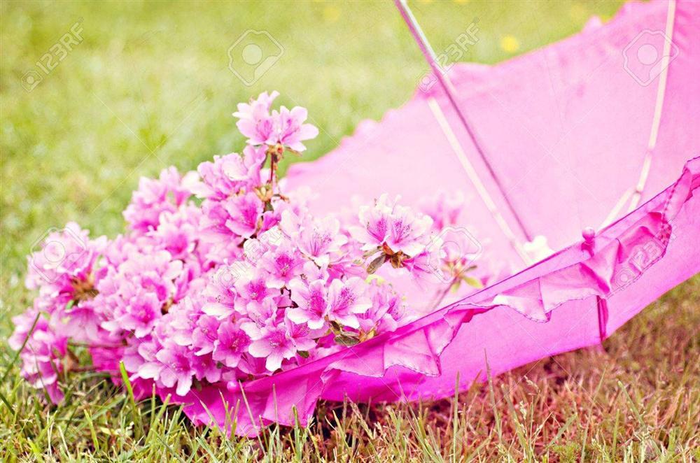 Tử vi thứ Bảy ngày 12/1/2019 của 12 con giáp: Dần cười nhờ may mắn, Tỵ khóc do gia đình-3