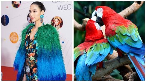 Khi 2 HLV The Face cùng nhau đụng hàng mẫu áo lông sặc sỡ: Hoàng Thùy hay Thanh Hằng sẽ chiếm phần hơn?-7