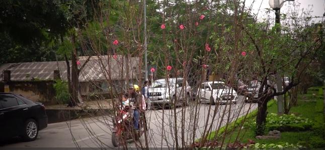 Cảm nhận không khí xuân về sớm trên con đường hoa đào dài 4km bung nở ở Hà Nội-2