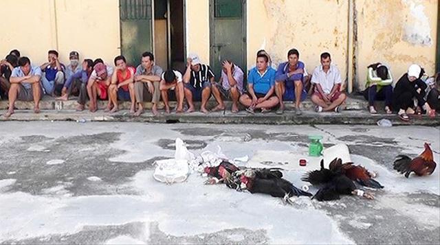 An Giang: Con trai phó bí thư tỉnh ủy tổ chức đá gà, đánh bạc-1