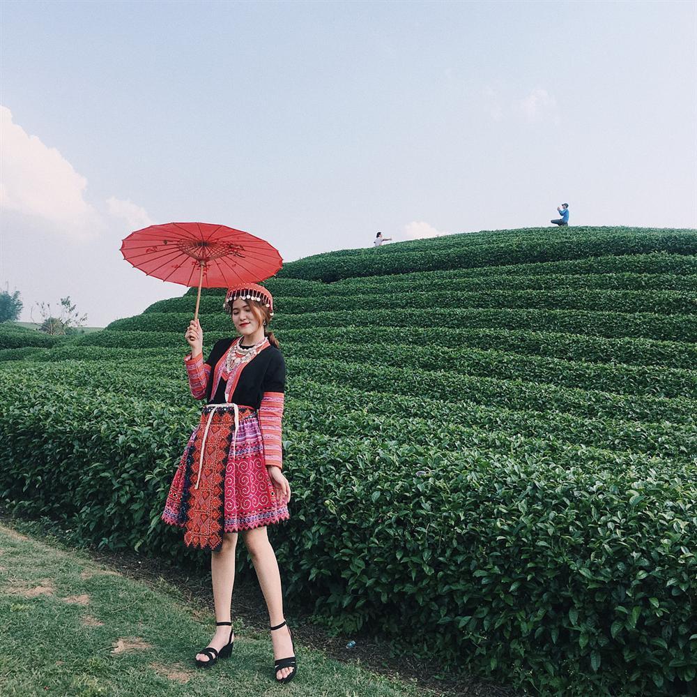 7 đồi chè sống ảo đỉnh cao dành cho dân thích xê dịch ở Việt Nam-2