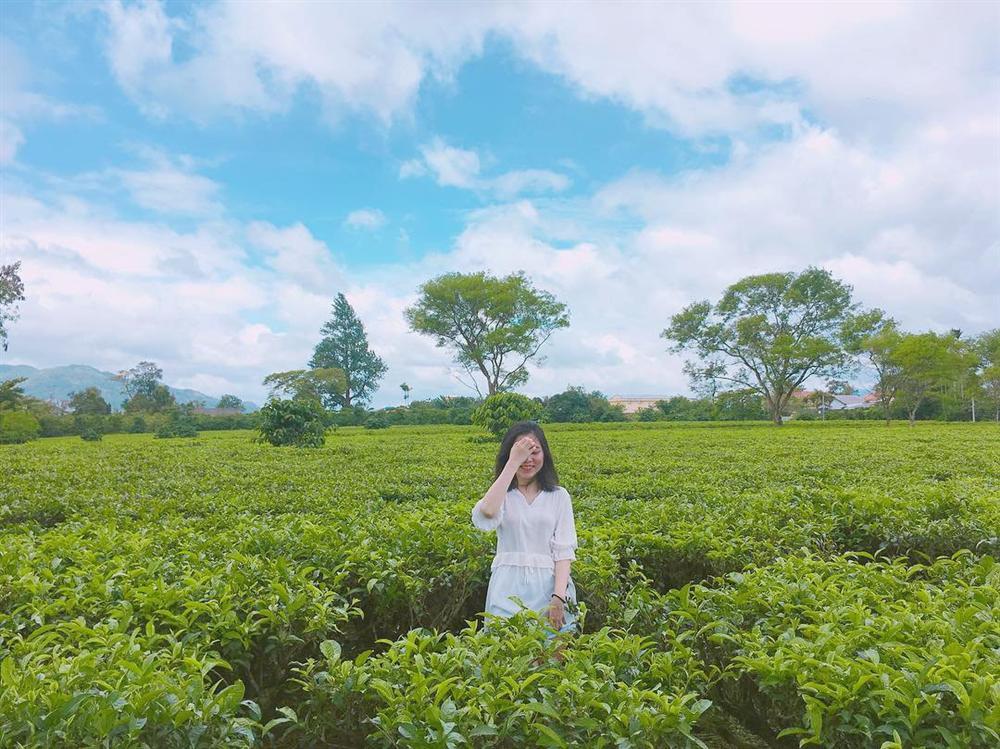 7 đồi chè sống ảo đỉnh cao dành cho dân thích xê dịch ở Việt Nam-4