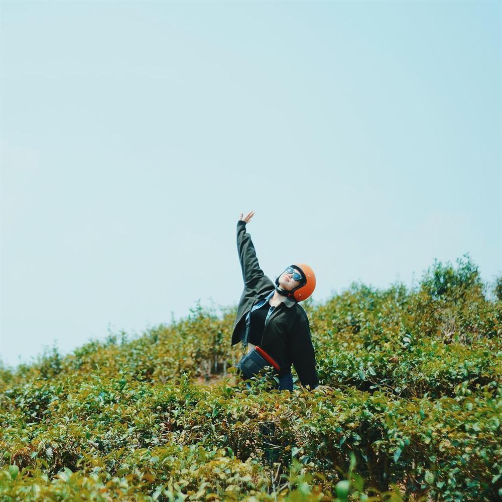 7 đồi chè sống ảo đỉnh cao dành cho dân thích xê dịch ở Việt Nam-7