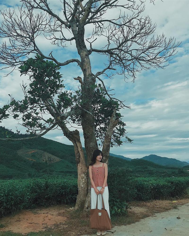 7 đồi chè sống ảo đỉnh cao dành cho dân thích xê dịch ở Việt Nam-8