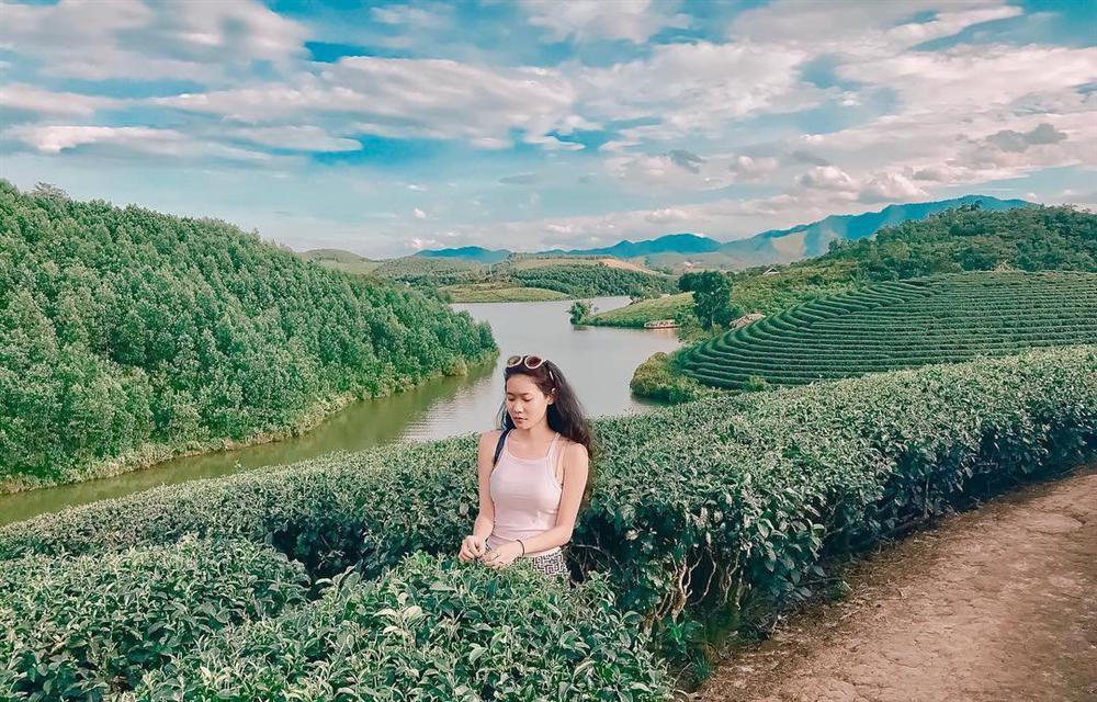 7 đồi chè sống ảo đỉnh cao dành cho dân thích xê dịch ở Việt Nam-11