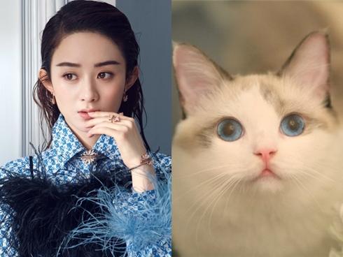 Tử vi tuổi Thân năm 2019: Sức khỏe giảm sút, tình duyên lận đận, tài lộc tiêu tán-4